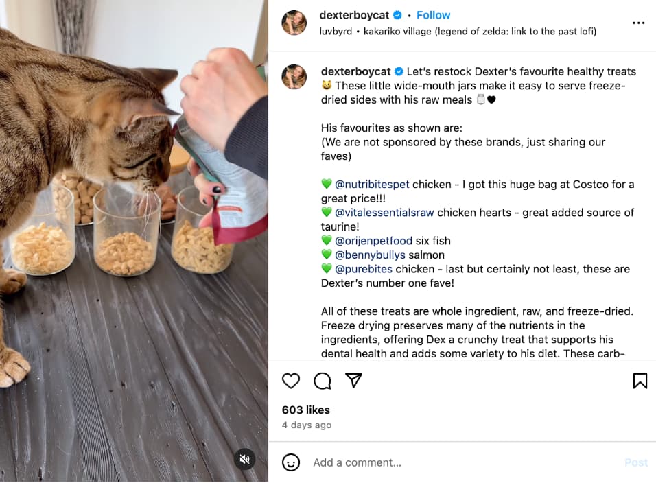 dexter pet influencer marketing